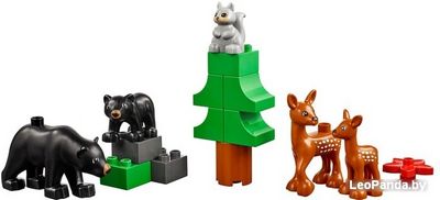 Конструктор LEGO Education 45029 Животные - фото3