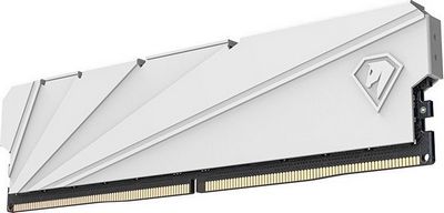 Оперативная память Netac Shadow S 16ГБ DDR4 2666 МГц NTSDD4P26SP-16W - фото3