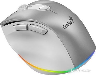 Мышь Genius Ergo 9000S Pro (серебристый) - фото2