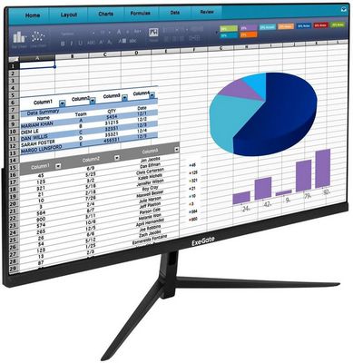 Монитор ExeGate ProSmart EZ2400 EX299031RUS - фото