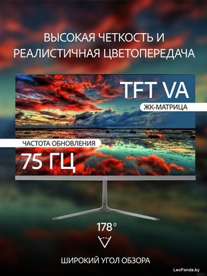 Монитор Leff 24FV100 - фото4