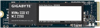SSD Gigabyte NVMe SSD V2 256GB G3NVMEV2256G - фото