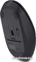 Мышь A4Tech Fstyler FB12 (черный) - фото