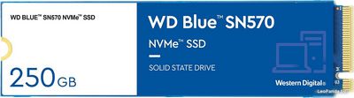 SSD WD Blue SN570 250GB WDS250G3B0C - фото
