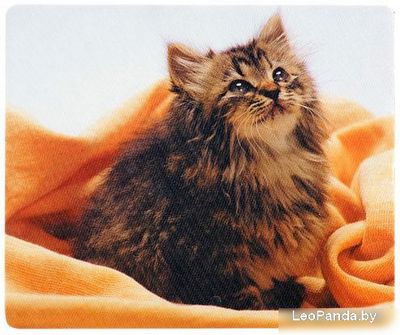 Коврик для мыши Defender Silk (50706) - фото