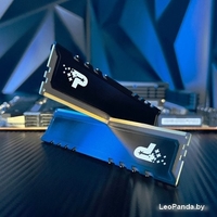 Оперативная память Patriot Signature Premium Line 16ГБ DDR5 5200 МГц PSP516G520081H1 - фото2