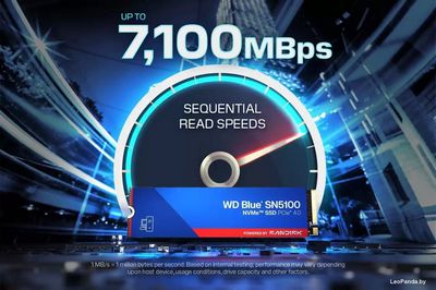 SSD WD Blue SN5100 500GB WDS500G5B0E - фото2