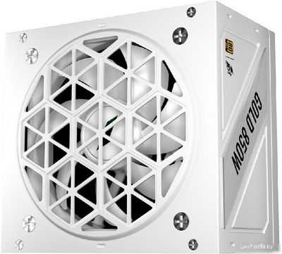 Блок питания 1stPlayer NGDP Gold 850W HA-850BA4-WH - фото, картинка Блок питания 1stPlayer NGDP Gold 850W HA-850BA4-WH - фото