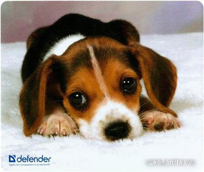 Коврик для мыши Defender Silk (50706) - фото2