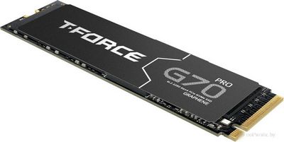 SSD Team T-Force G70 Pro 1TB TM8FFH001T0C129 - фото7