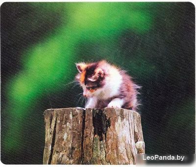 Коврик для мыши Defender Silk (50706) - фото3