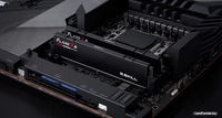 Оперативная память G.Skill Flare X5 2x16ГБ DDR5 6000 МГц F5-6000J3036F16GX2-FX5 - фото3