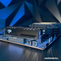 Оперативная память Patriot Signature Premium Line 16ГБ DDR5 5200 МГц PSP516G520081H1 - фото3