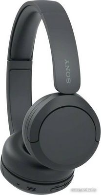 Наушники Sony WH-CH520 (черный) - фото3