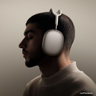 Наушники Hoco W65 Plus (серебристый) - фото4