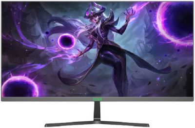 Игровой монитор ELSA EA241S Pro - фото