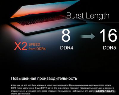 Оперативная память Silicon-Power 16ГБ DDR5 5200 МГц SP016GBLVU520F02 - фото9
