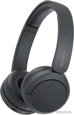 Наушники Sony WH-CH520 (черный) - фото