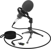 Микрофон Ritmix RDM-160 - фото