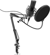 Микрофон Ritmix RDM-180 - фото