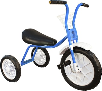 Детский велосипед Самокатыч Зубренок (голубой) - фото