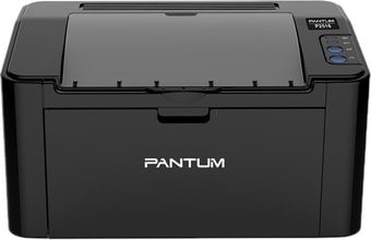 Принтер Pantum P2516 - фото