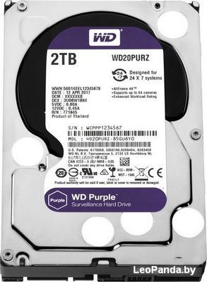 Жесткий диск WD Purple 2TB [WD20PURZ] - фото