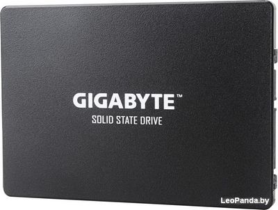 SSD Gigabyte 256GB GP-GSTFS31256GTND - фото