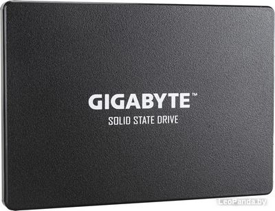 SSD Gigabyte 256GB GP-GSTFS31256GTND