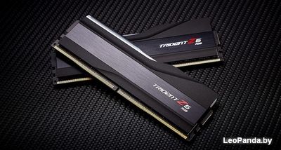 Оперативная память G.Skill Trident Z5 RGB 2x16GB DDR5 PC5-44800 F5-5600U4040C16GX2-TZ5RK - фото5