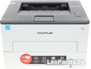 Принтер Pantum P3010D - фото