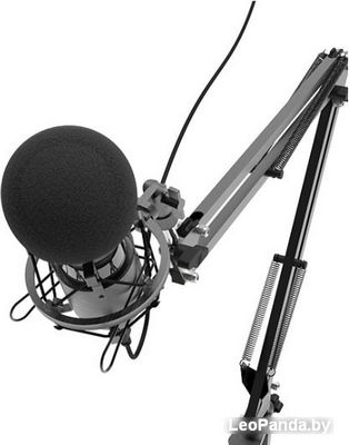 Микрофон Ritmix RDM-180 - фото4