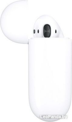 Наушники Apple AirPods 2 в зарядном футляре - фото3