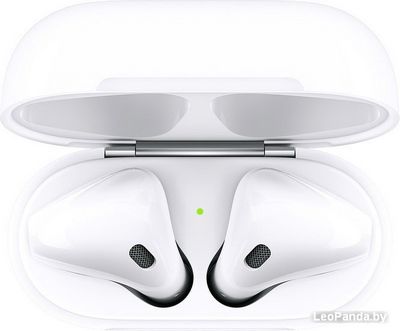Наушники Apple AirPods 2 в зарядном футляре - фото5