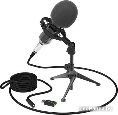 Микрофон Ritmix RDM-160 - фото