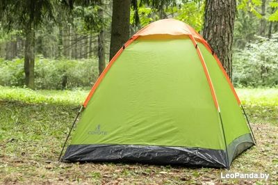 Кемпинговая палатка Coyote Vortex-2 (зеленый) - фото2