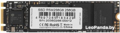 SSD AMD Radeon R5 256GB R5M256G8 - фото