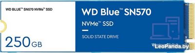 SSD WD Blue SN570 250GB WDS250G3B0C - фото