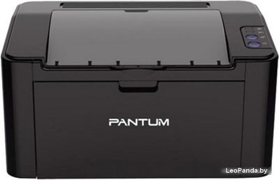 Принтер Pantum P2507 - фото