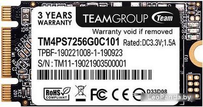 SSD Team MS30 256GB TM4PS7256G0C101 - фото